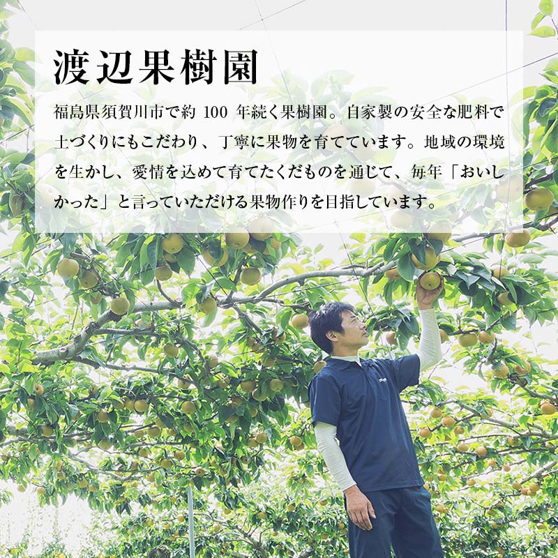 渡辺果樹園のあきづき梨　約3kg＜9月中旬～10月上旬にお届