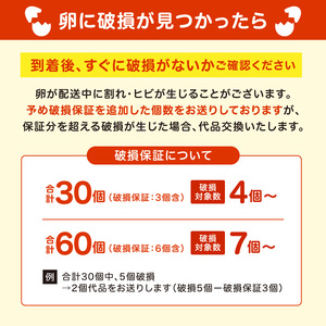 むらかみ農園の赤玉たまご60個_Y140-0002