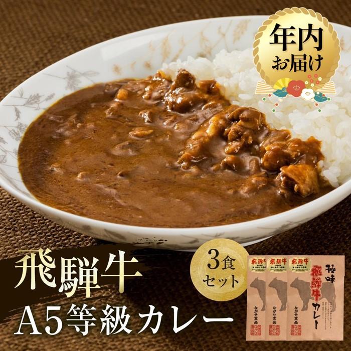 【ふるさと納税】【年内配送が選べる】A5等級飛騨牛 カレー 3食セット | 発送時期が選べる 年内発送 肉 牛肉 レトルト 非常食 レトルトカレー 人気 飛騨高山 ながせ食品 FH006VP
