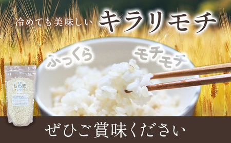もち麦 令和7年産 キラリモチ 2kg 結城市産 けいいちろう商店 《30日以内に出荷予定(土日祝除く）》茨城県 結城市 もち麦 米 こめ コメ 麦 ご飯 お弁当