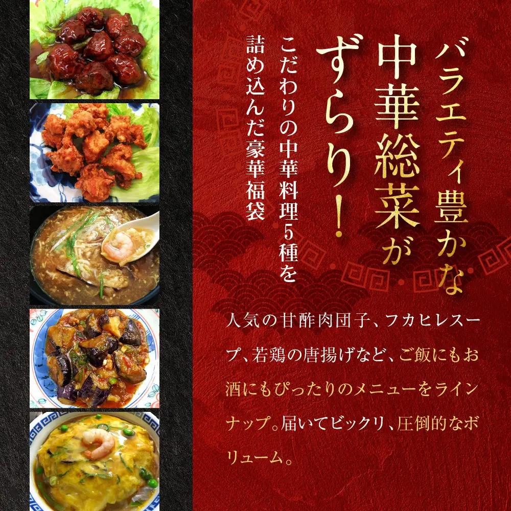 中華総菜5種5品詰合せ 中華料理 京都 チャイナノーヴァ