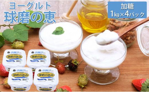 
ヨーグルト プレーン 砂糖 球磨の恵ヨーグルト 1kg×4パック 乳製品 プレーンヨーグルト シュガー
