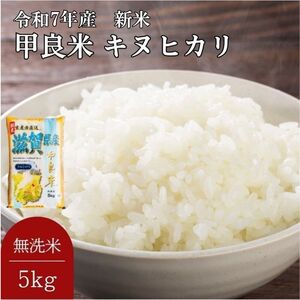 キヌヒカリ 無洗米 5kg 令和7年産 特別栽培 キヌヒカリ