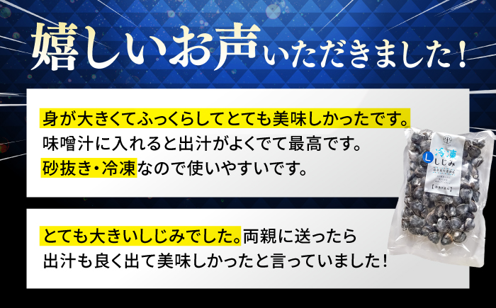 食べる分だけさっと使える！宍道湖産 冷凍大和しじみ (L)500g×3袋 島根県松江市/平野缶詰有限会社 [ALBZ008]