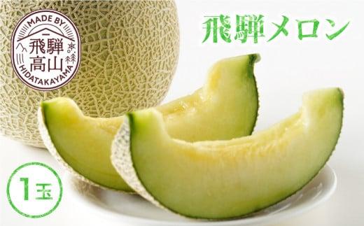 【数量限定】2026年先行予約 飛騨メロン 1玉 ≪8月頃～順次発送≫ | 飛騨高山産 メロン めろん 高冷地 果物 くだもの フルーツ 期間限定 数量限定 飛騨高山 宿儺さま KA012