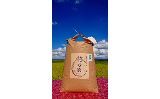 令和7年度産 體力米（たいりょくまい）コシヒカリ 白米 10kg ｜ 米 新米 ブランド米 栃木県 大田原市