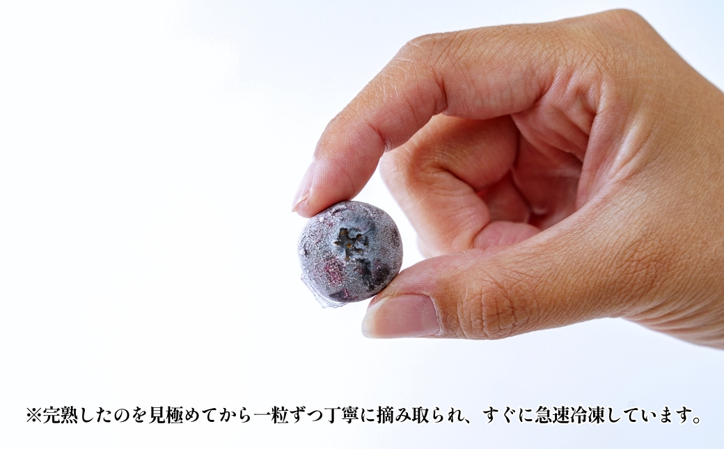 冷凍ブルーベリー１kg（500ｇ×2）