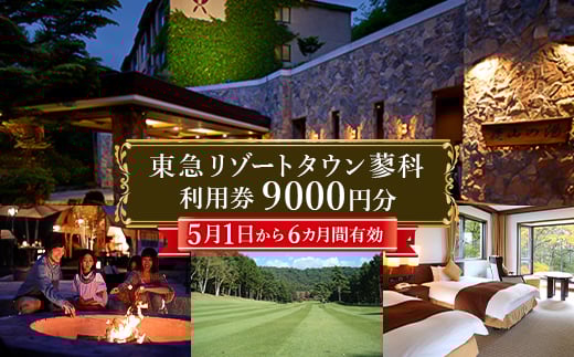 
            東急リゾートタウン蓼科利用券(1,000円分×9枚)2025年5月1日から6か月間有効チケット【1421691】
          