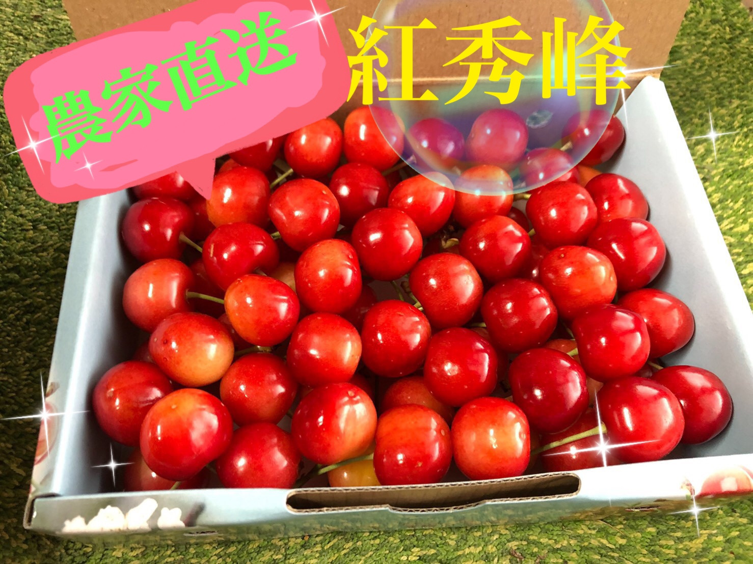
                  きらっきらの宝石箱 高級品種【紅秀峰】生産者直送【2026年発送】（ISI）B12-157
                