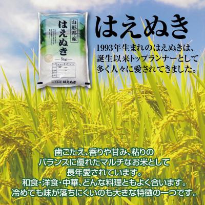 ふるさと納税 酒田市 【毎月定期便】山形県の米どころ庄内平野で育った庄内米　はえぬき5kg全4回 |  | 02
