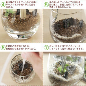 はじめての苔テラリウムにピッタリの作成キット★作り方動画付 NKK0008