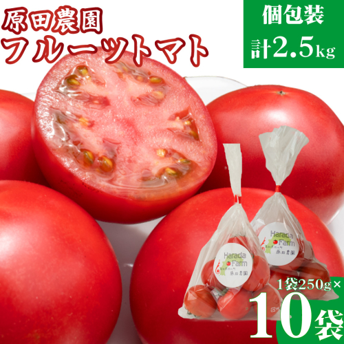 ＜2025年12月下旬頃より順次発送＞【12月下旬～5月頃発送】＜秀品 A品 フルーツトマト 原田農園 約2.5kg 個包装 1袋250g×10袋＞ 桃太郎 高知県 佐川町　＜当期分は毎年4月上旬頃まで申込受付＞