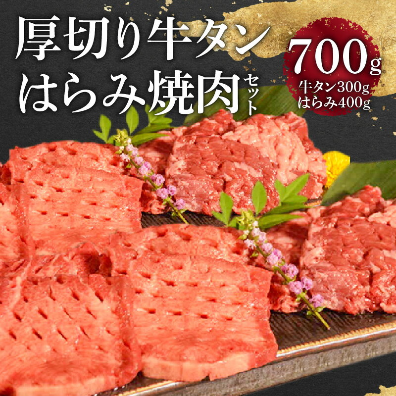 【ふるさと納税】オアシス九州 牛タン ハラミ 焼肉 セット 700g 冷凍【熊本県宇土市】