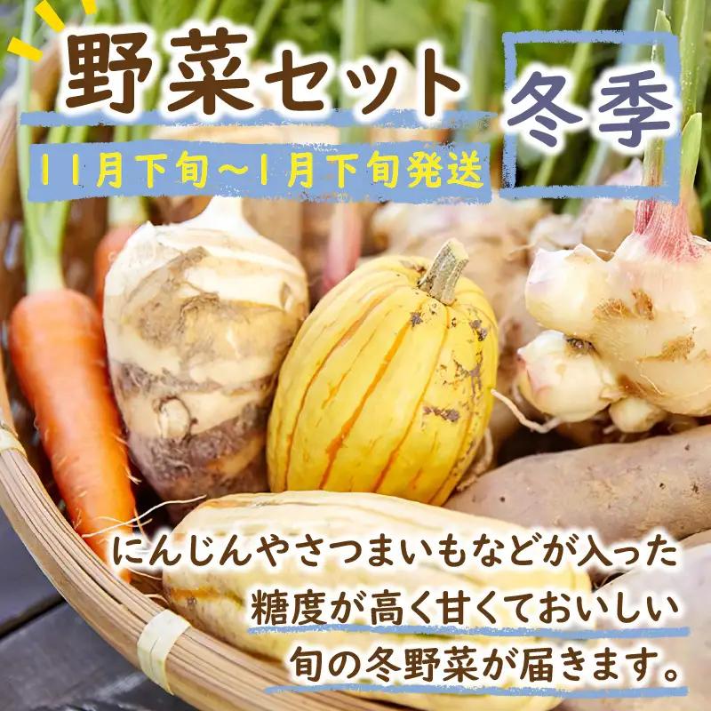 【野菜の定期便】有機野菜セット 夏冬 年２回 | SORA農園