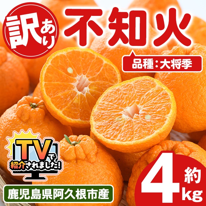 ＜先行予約受付中！2026年3月上旬以降順次発送予定＞訳あり！露地栽培の不知火(4kg：大将季) 国産 不知火 しらぬい 柑橘 果物 フルーツ デザート 露地 果実 期間限定 数量限定【古田果樹園】akn093-07