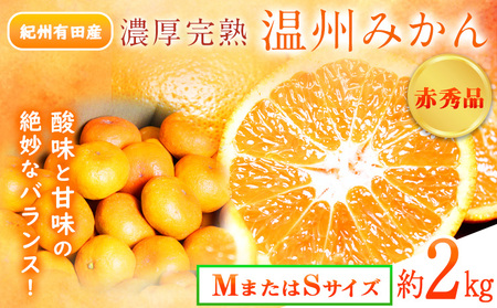 みかん 赤秀品 濃厚完熟温州みかん 約2kg