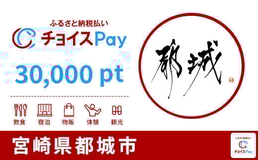 
            都城市チョイスPay 30,000pt【会員限定のお礼の品】
          