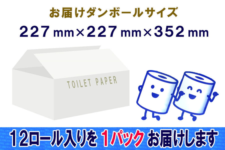 定期便 【全12回】トイレットペーパー　シングル　12個×1パック　長巻きロール [sf077-111]