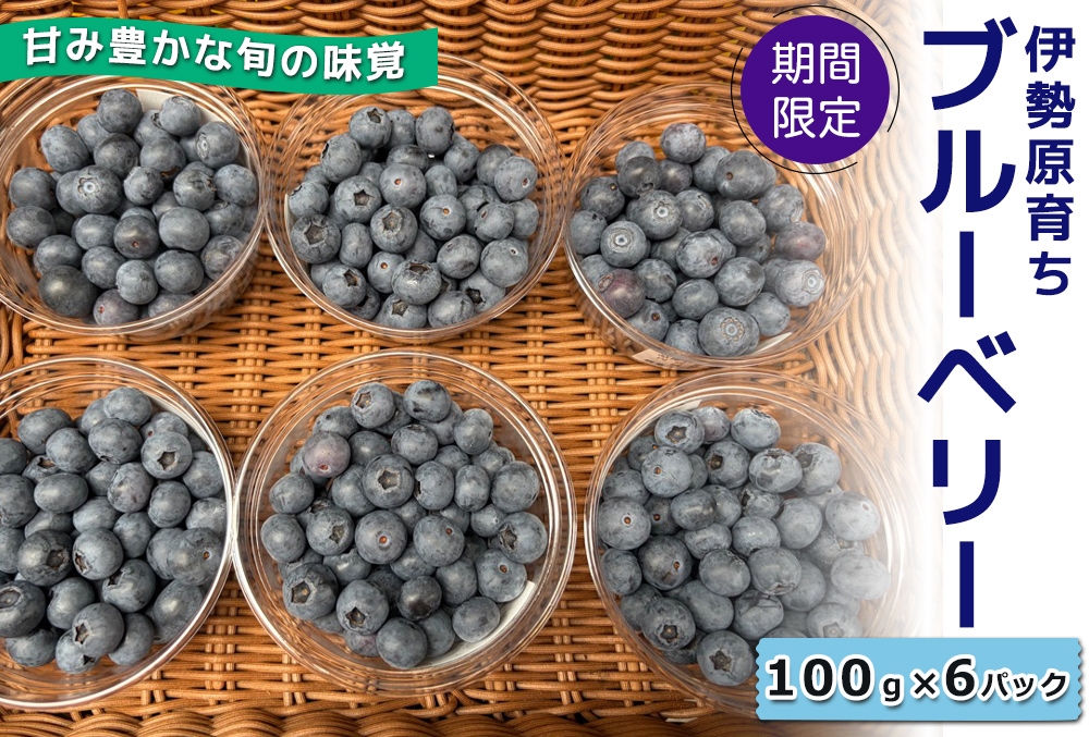 
                  [期間限定] 伊勢原育ち 農薬不使用ブルーベリー 100g×6パック《甘み豊かな旬の味覚》[1183]
                