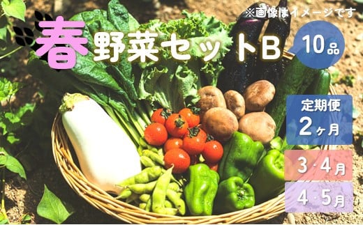 
            【予約受付/2025年産】春野菜セットB 10品 以上【 2ヶ月 定期便 】  季節 旬 春 野菜 詰め合せ 国産 おまかせ 定期 産地直送 葉物 根菜 冷蔵 岩手県産 北上産 季節限定 タラの芽 うど うるい アスパラガス 人参 菜花 つぼみ菜 ほうれん草 小松菜 チンゲン菜 長ねぎ レタス リーフレタス 水菜 ブロッコリー きゅうり ベビーリーフ 送料無料 岩手県 北上市 E0218
          