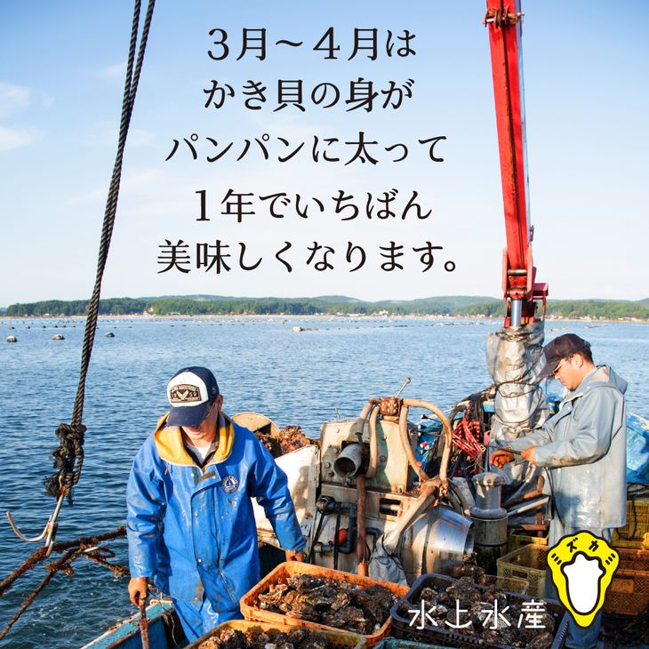 【能登半島地震復興支援】【発送時期が選べる】水上水産の能登のかき 半缶ガンガン焼き（約35～40個・ナイフ付） ※離島への配送不可 石川県 七尾市 能登 ※2025年1月上旬～2月中旬頃に順次発送予定