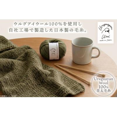ふるさと納税 江南市 あみもねっと ウルグアイウール並太 21番色 10玉セット |  | 01