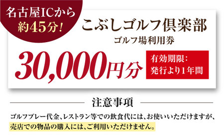 こぶしゴルフ倶楽部　オリジナル商品券3万円分（寄附金区分10万円） [AVAO006]