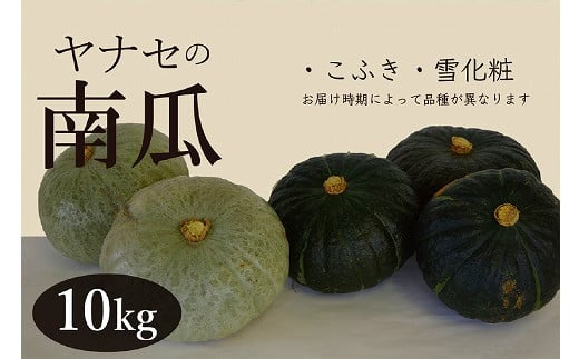 
            R7年産　南瓜　約10kg　ヤナセ農園/014-27091-b01A
          