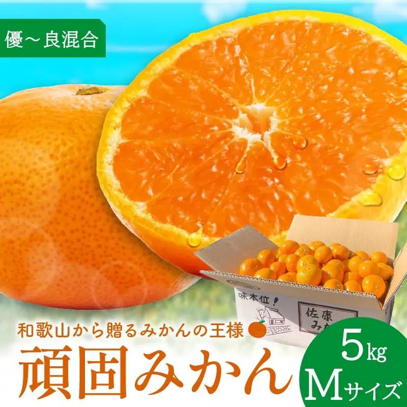 【1337_M】和歌山県天田の頑固みかん　5kg （優～良混合）サイズ指定可能（S・M・L）Mサイズ