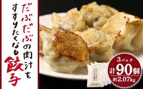 【12月20日決済確定分まで年内発送】だぶだぶの肉汁をすすりたくなる餃子 90個（30個入×3パック）