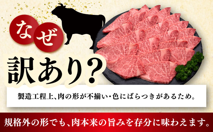 【訳あり】A4〜A5 国産牛ヒレ焼肉 600g 《築上町》【久田精肉店】 博多和牛 牛肉 人気 おすすめ [ABCL177]