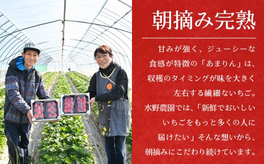 代表自らが、朝から一粒一粒丁寧に摘み取っています。