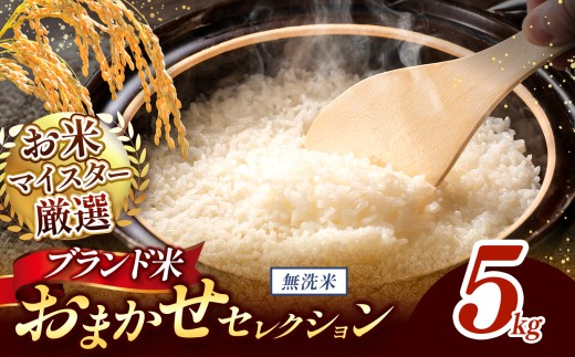 【 新米予約 】令和8年産 おまかせ セレクション 熊本県産 無洗米  ＜ひのひかり / 森のくまさん / くまさんの輝き ＞ 5kg 単品 | 単一銘柄 米 単一米 お米 こめ 小分け 人気 コメ お米 5kg 10kg 15kg 20kg 25kg 30kg ブランド米 菊池川流域 家庭用 送料無料 熊本 くまもと 熊本県 和水 和水町 人気 ごはん