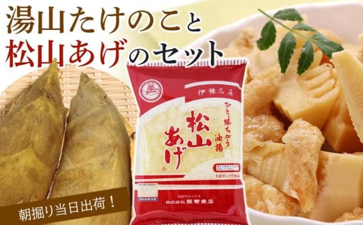 【先行予約】★2026年3月下旬から発送予定★朝掘り！湯山たけのこ＆松山あげのセット