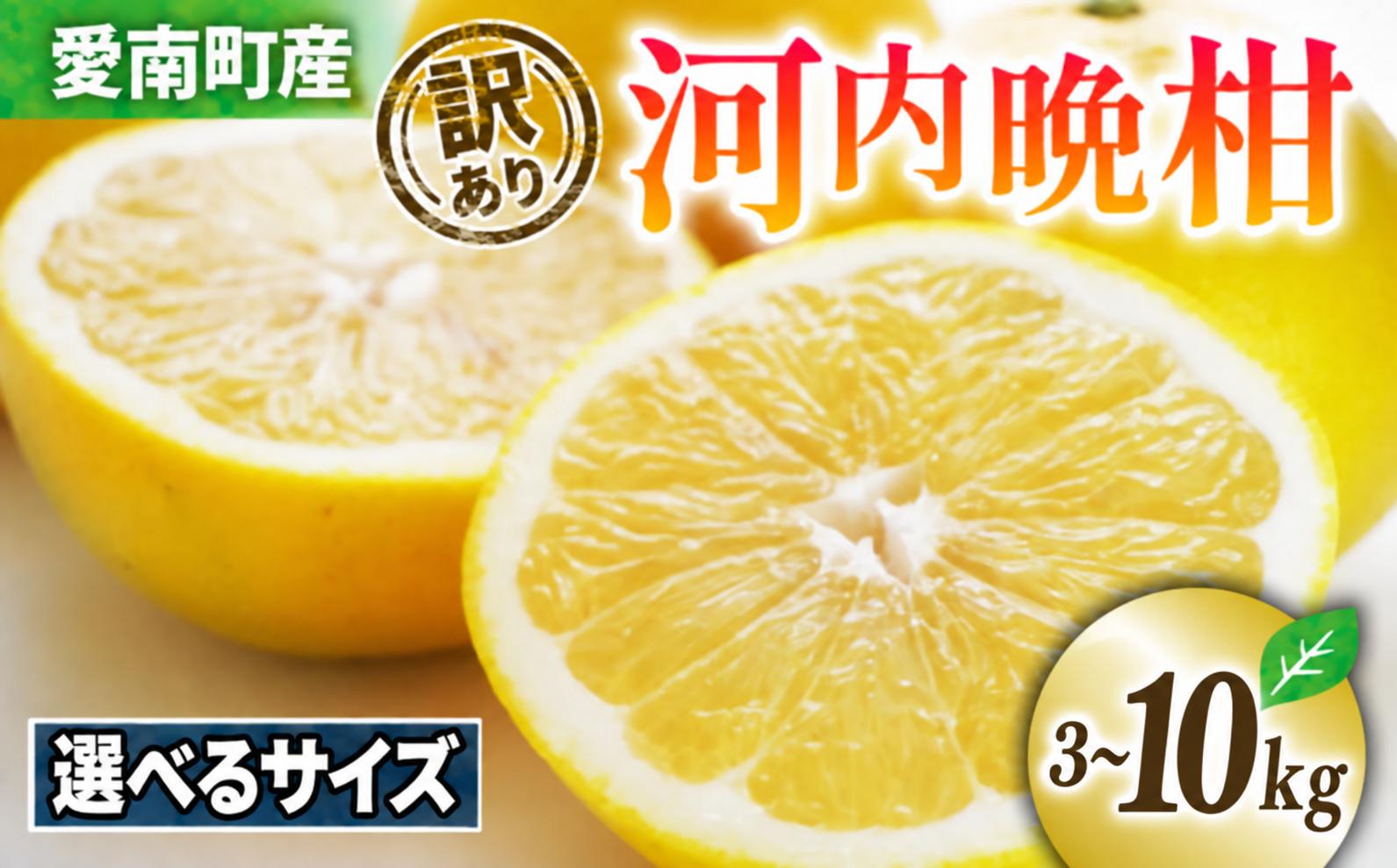 
                  【先行予約】 訳あり 河内晩柑 選べる サイズ 内容量 3kg 5kg 10kg サイズミックス 小玉 家庭用 樹齢 20年 以上 古木 和製 グレープフルーツ 愛南ゴールド 直送  フルーツ 人気 柑橘 爽やか 甘み ジューシー 果汁 旬の果物 くだもの みかん サイズ不揃い 産地直送 農園直送 味覚 初夏 デザート ジュース おすすめ 生搾り デザート 愛媛県 愛南町 清家ばんかんビレッジ
                
