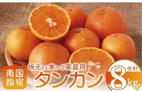 みかん農家坂元さんちのタンカンご家庭用8kg(坂元果樹園/A-056)