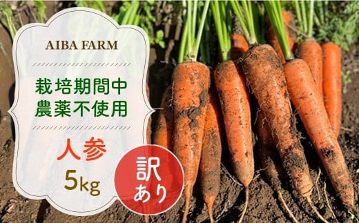 【12月～2月発送】【栽培期間中農薬不使用】訳あり人参５㎏  AIBA FARM　Ｂ品 / 野菜 やさい にんじん 人参 ニンジン 名産 特産 甘い 美味しい 訳あり 不揃い B級 健康 ヘルシー フードロス AIBA FARM アイバファーム  千葉県 富里市 TML006