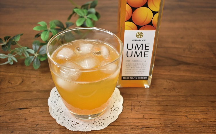 丹波・梅ピューレ UMEUME（梅）・YUZUUME（柚子梅）  京都 丹波 完熟梅 無添加 5倍希釈 315ml