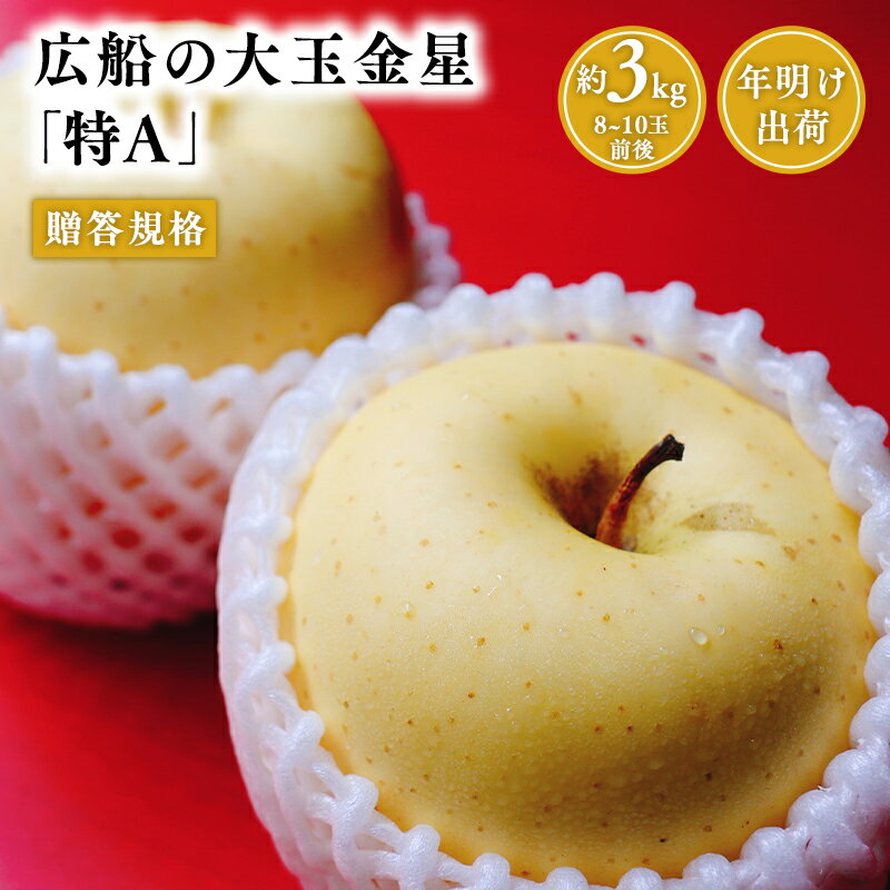 【ふるさと納税】≪年明け発送≫青森県産 贈答規格 広船の大玉金星 約3kg「特A」【青森県 平川市 広船アップルクラブ】贈答 大玉 金星 広船 年明け 青森 青森県 平川 りんご リンゴ 林檎 くだもの 果物 フルーツ レビューキャンペーン