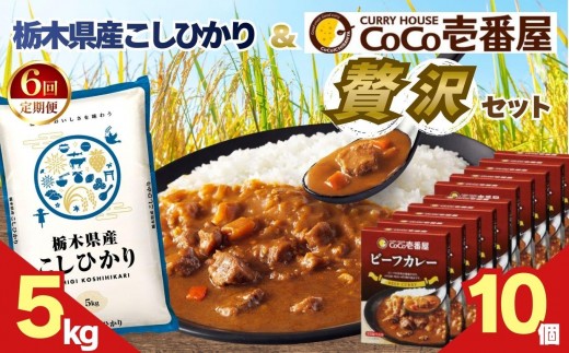 【定期便6回】ココイチ ビーフカレー10個 &コシヒカリ5kgの贅沢セット