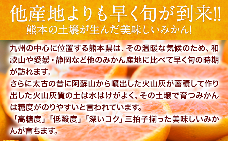 ご家庭用 熊本 大粒みかん 約2.5kg (3L～5Lサイズ)大玉 みかん 先行予約 熊本 ちょっと 訳あり 傷 たっぷり 熊本県産 熊本県 期間限定 フルーツ 旬 柑橘 長洲町 大粒みかん《2025