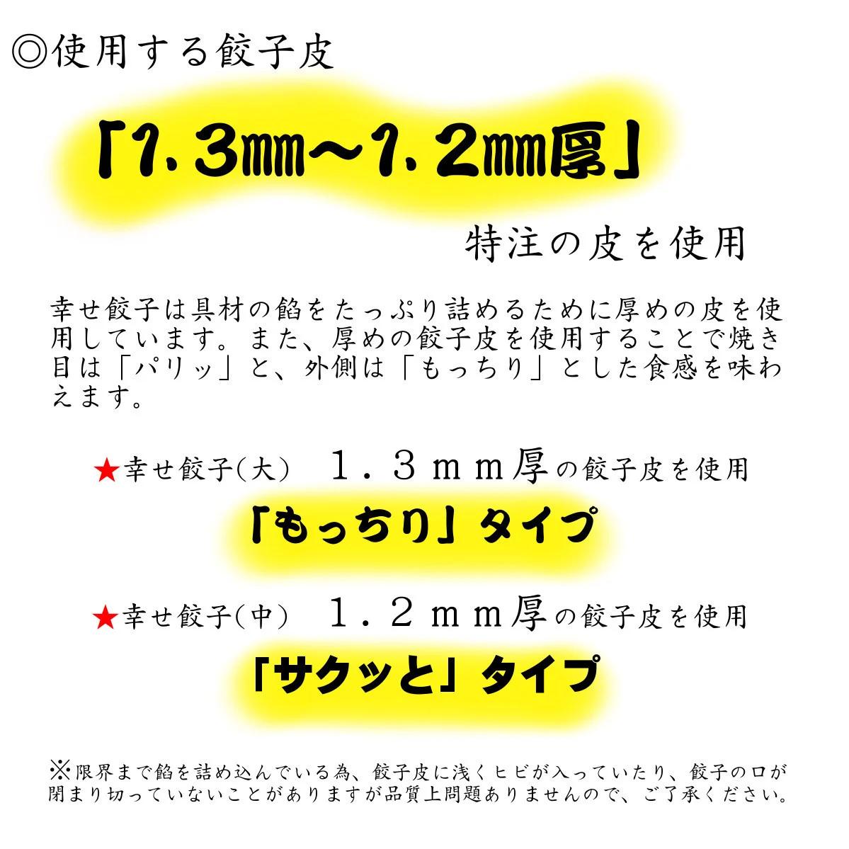 006-20-1幸せ餃子のボリューム満点こだわり大餃子（2箱）/ 餃子 ギョウザ 手作り ジャンボ餃子 １０個入り ２箱 冷凍 食品 おかず 冷凍 食品 おかず 国産 国産野菜 高座豚 ぎょうざ ギョ