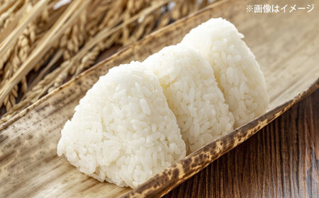 五ツ星お米マイスター厳選 恵の仁多米コシヒカリ 5kg 島根県松江市/株式会社沼田米穀店[ALBU003]