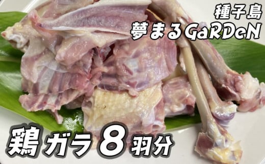 種子島 夢まるガーデン 鶏ガラ （８羽分）約3kg　NFN509 【300pt】 元気な鶏 鶏がら こだわり おいしいダシ 平飼い 鶏舎 四方開放 毎日牧草 発酵飼料 観察・ふれあい スープ