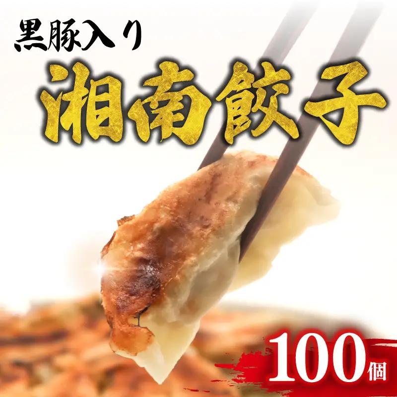 湘南餃子 100個 (50個×2箱) 国産 黒豚 野菜 餃子