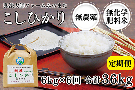 【定期便6回】令和6年度産 新米 こしひかり 6㎏ 合計36kg