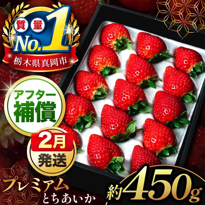 【先行予約受付中】【2027年2月発送発送】とちあいか贈答用 黒箱450g 