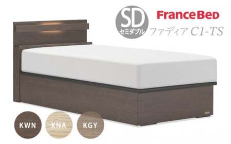 フランスベッド ファディア FAD-C1 TS（縦跳ね上げ収納260mm） 【 マットレスつき 】 M セミダブル U-94