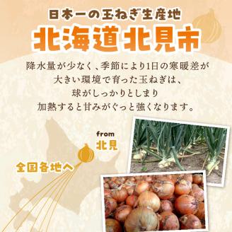 【予約：2024年9月から順次発送】日本一の生産地！北海道北見市の玉ねぎ 5kg！オニオンスープ2本付き♪ ( 玉葱 たまねぎ タマネギ オニオン スープ 即席 料理 )【164-0001-2024】