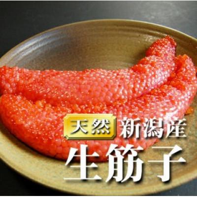 ふるさと納税 新発田市 生筋子　500g